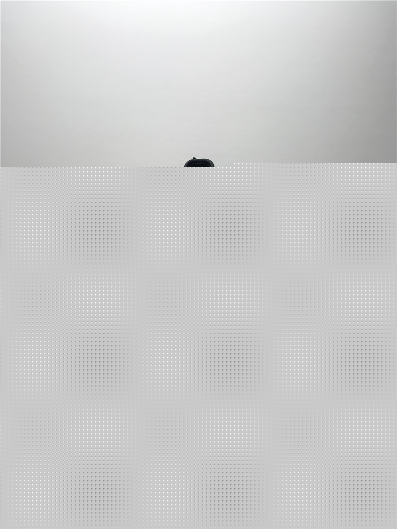 PK BASF YEEZY BOOST 350 V2 ONYX